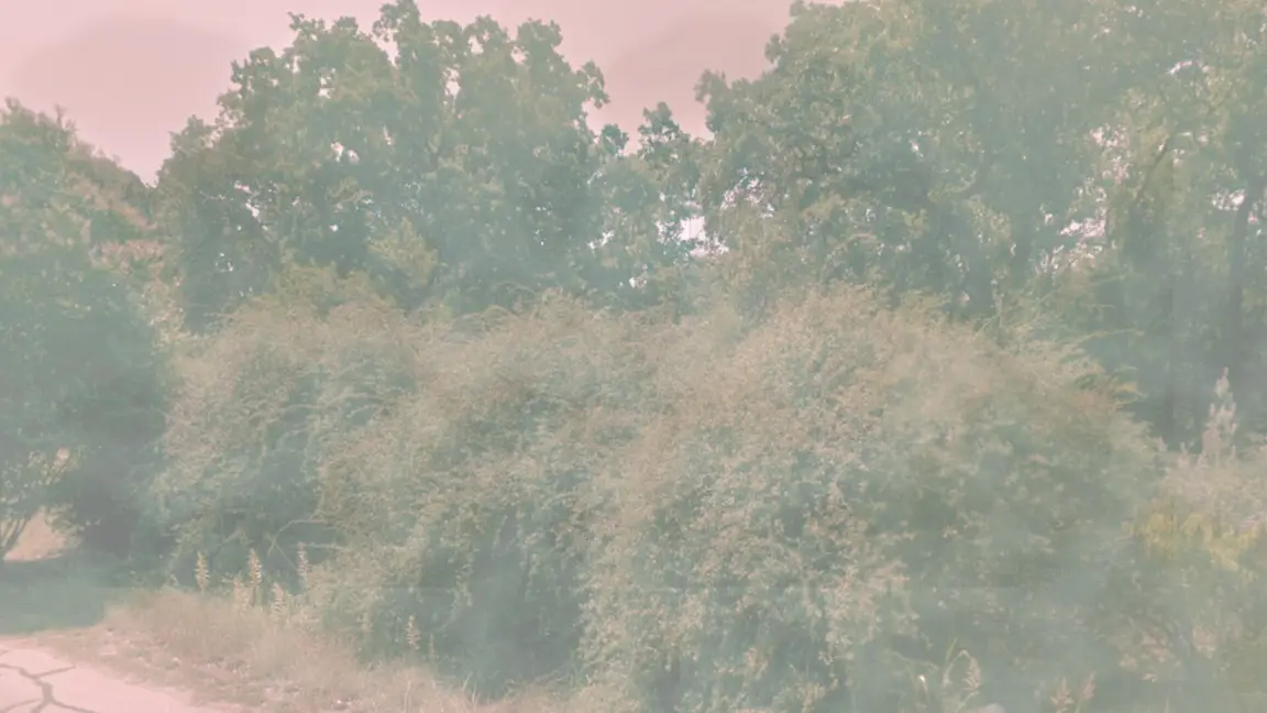 PREAM Lands