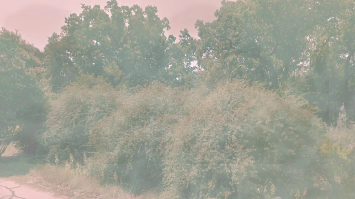 PREAM Lands