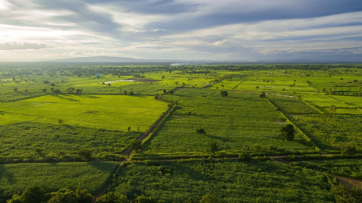 Sell Your Land In TN - We Buy Land In Cash!