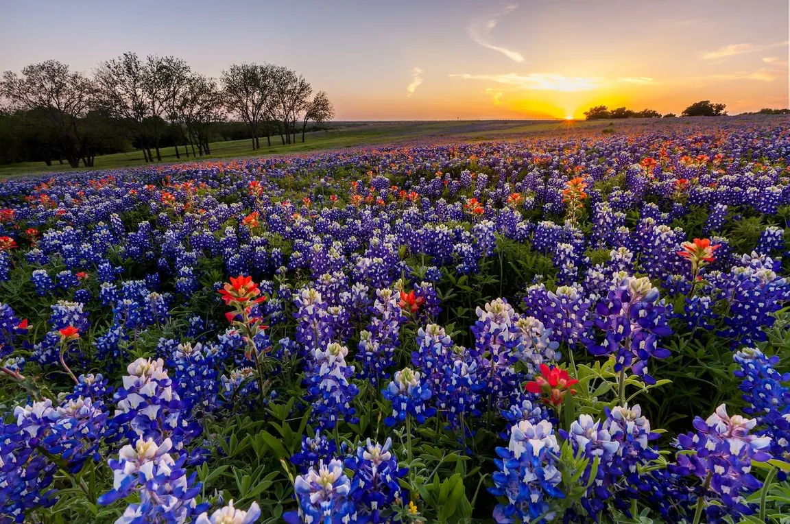 cash-home-buyers-spring-texas-we-buy-houses-in-spring-sell-my-house -strike-zone-investments