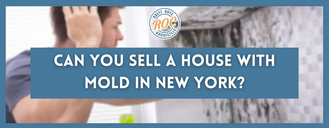 Can You Sell a House with Mold in [market_city]