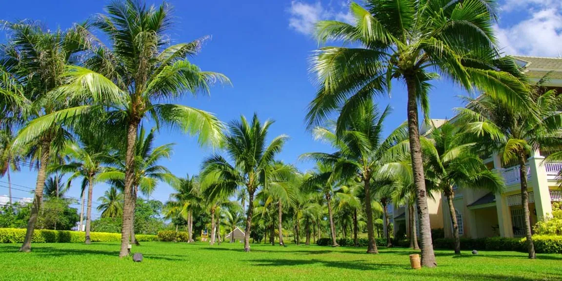 Sell land fast Florida
