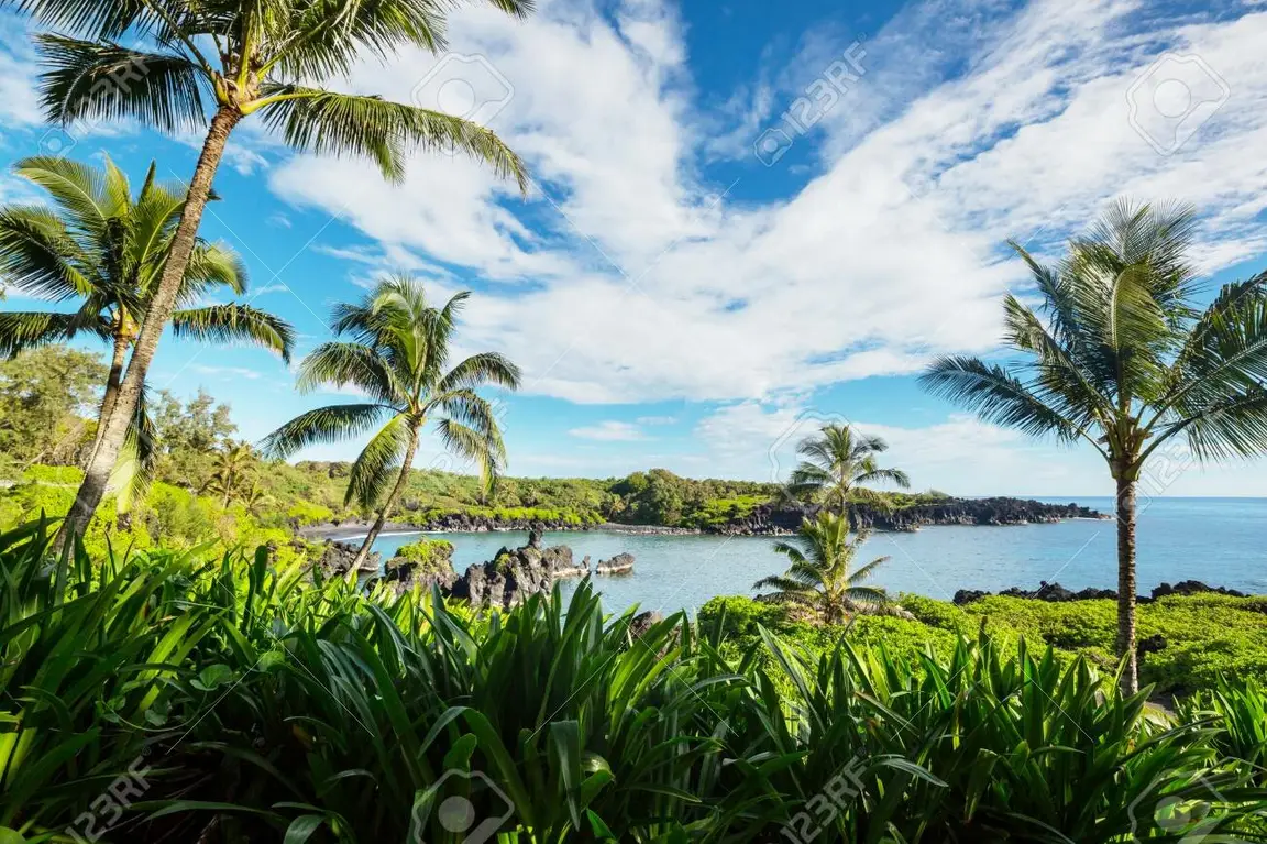 We Buy Land Hawaii