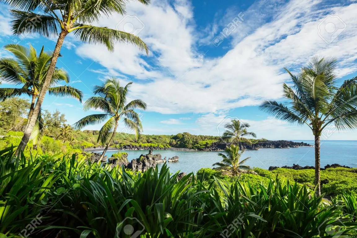 We Buy Land Hawaii