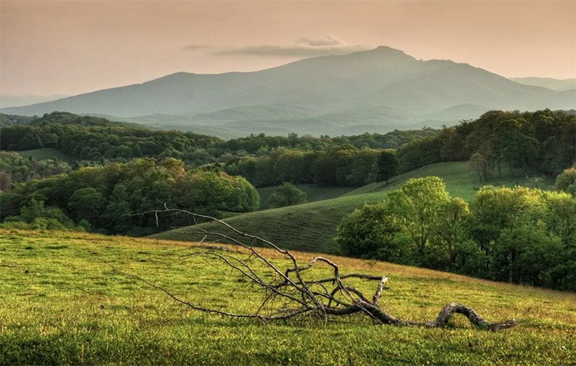 We Buy Land Noirth Carolina