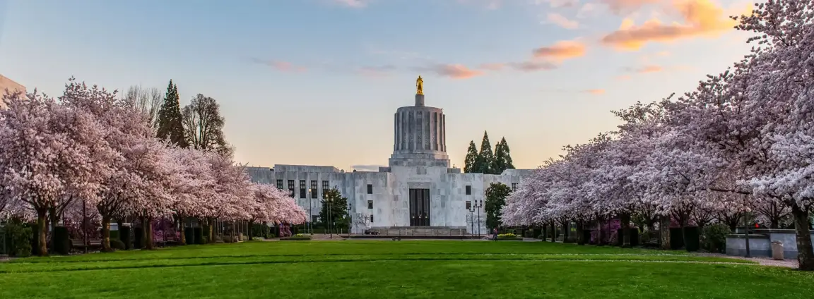 Oregon State Capitol building in Salem framed by cherry blossom trees in full bloom. Title Attribute: Oregon State Capitol in Salem during spring