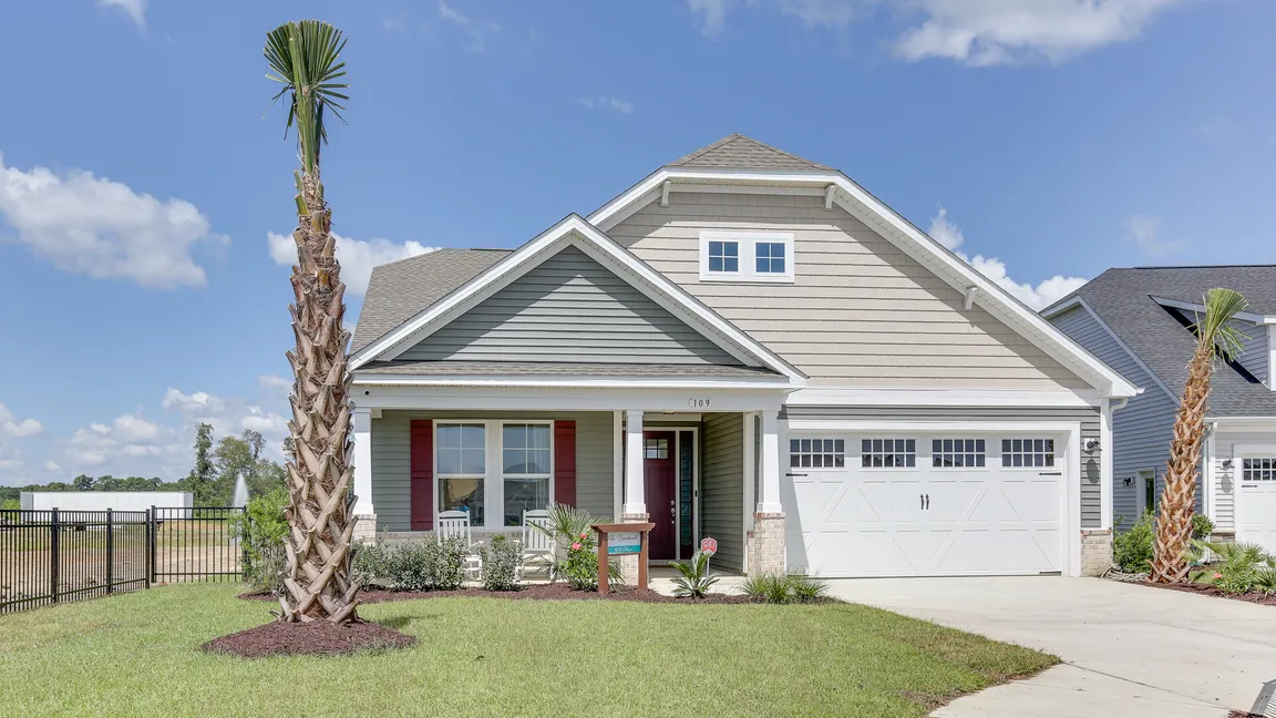 Cute Chesapeake VA house with palm tree in front yard