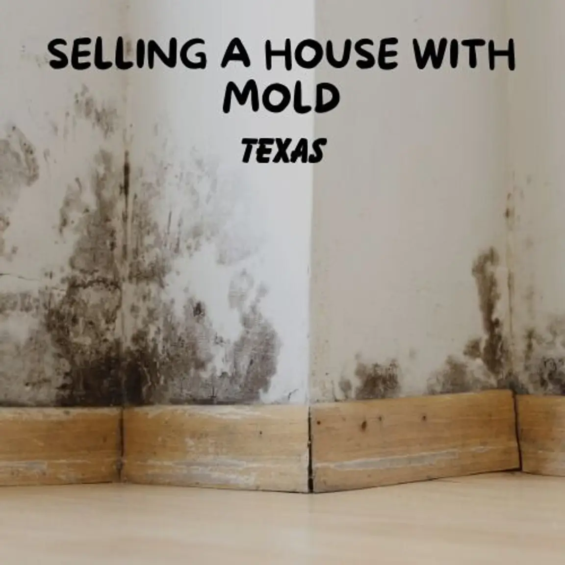 How to Sell a Texas House with Mold