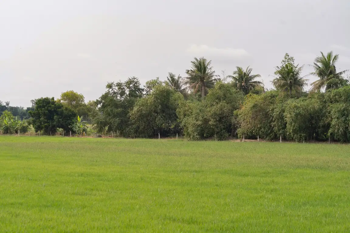 How Big Is 3 Acres Of Land