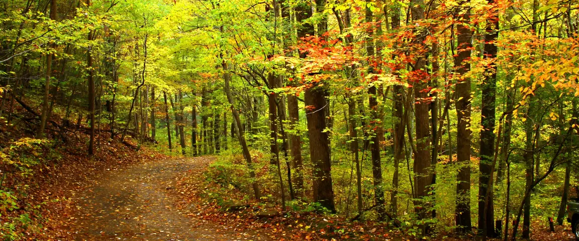 Sell Your Vacant Land Fast In VA