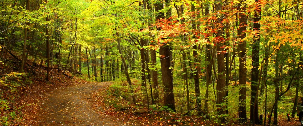 Sell Your Vacant Land Fast In VA