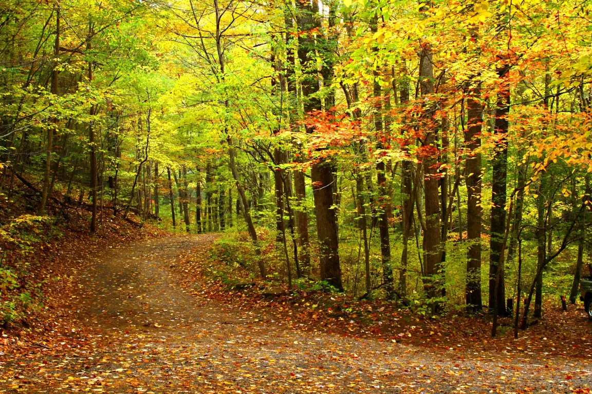 Sell Your Vacant Land Fast In VA