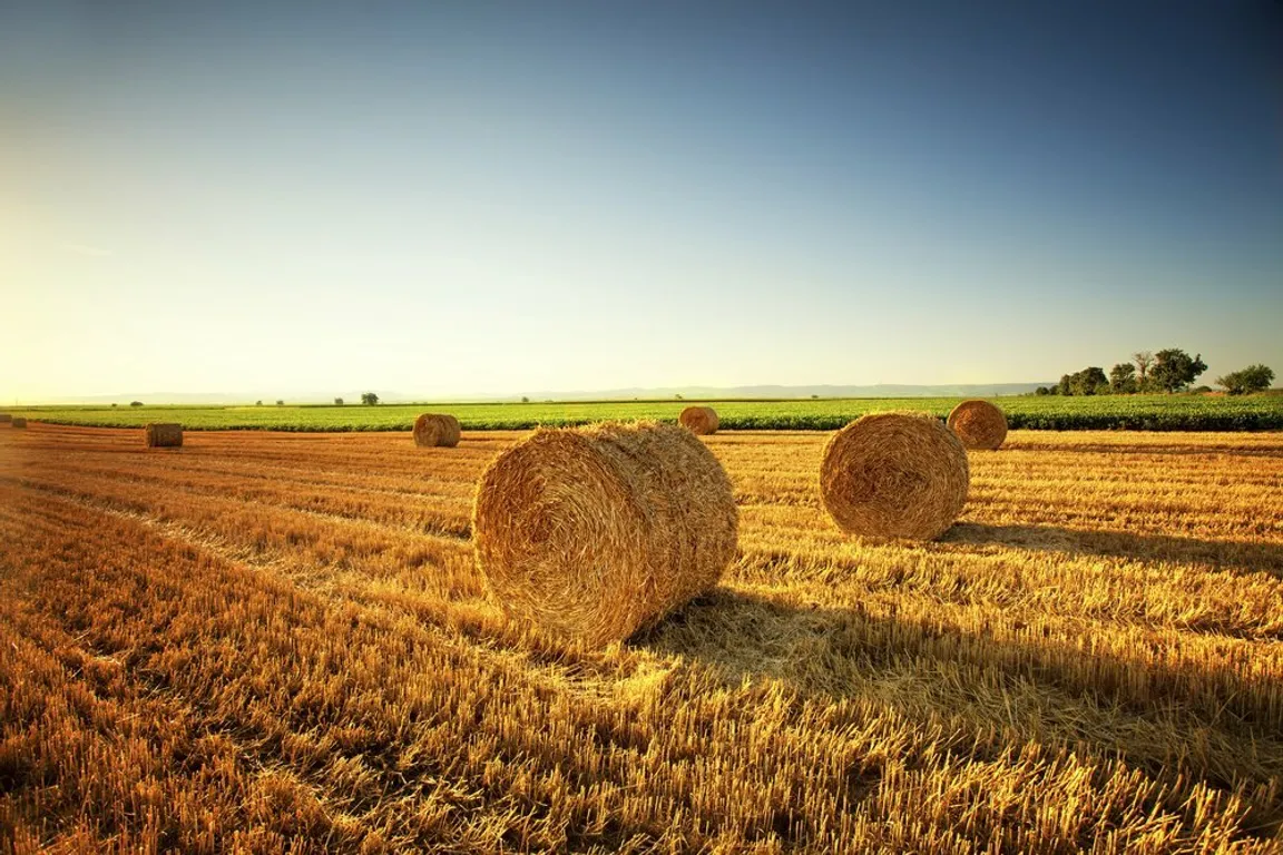 Sell Your Vacant Land Fast In VA