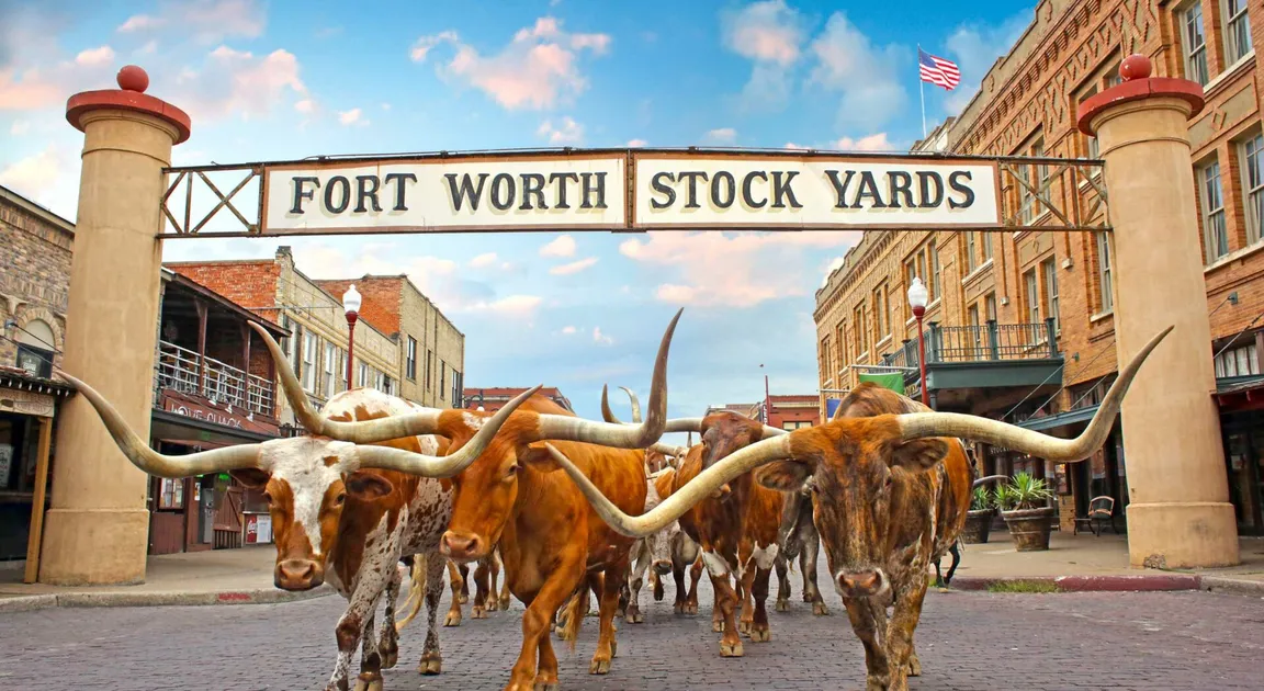 We Buy Houses in Fort Worth