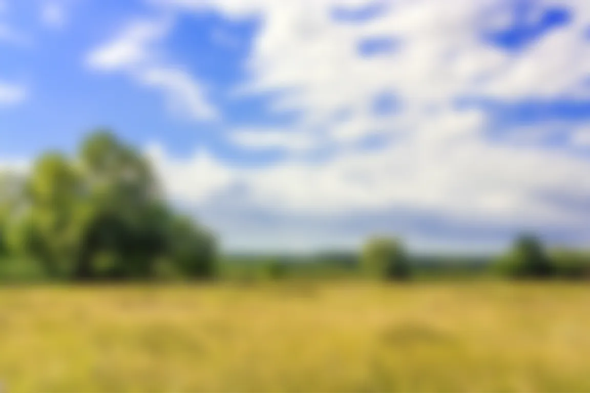 we buy your land Dallas Texas