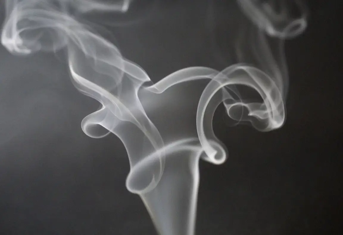 How to Sell a House With Cigarette Smoke Damage?