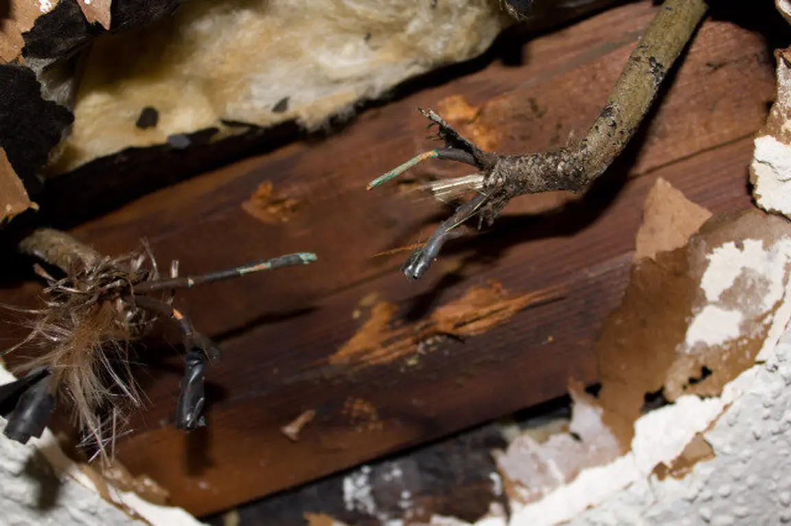 sell a house as-is when updates or major electrical repairs are not feasible for the seller