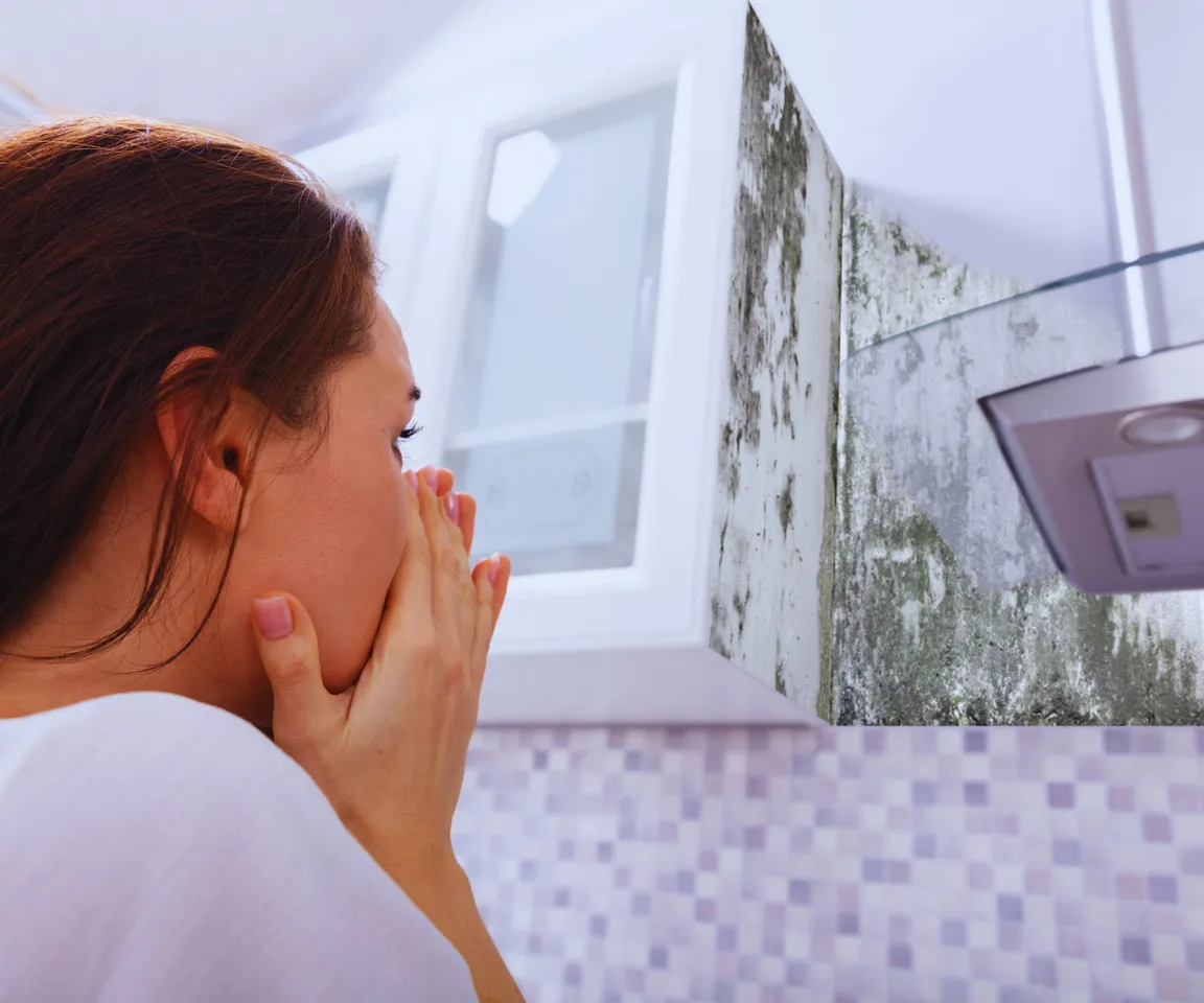Sell My House with mold Greensboro