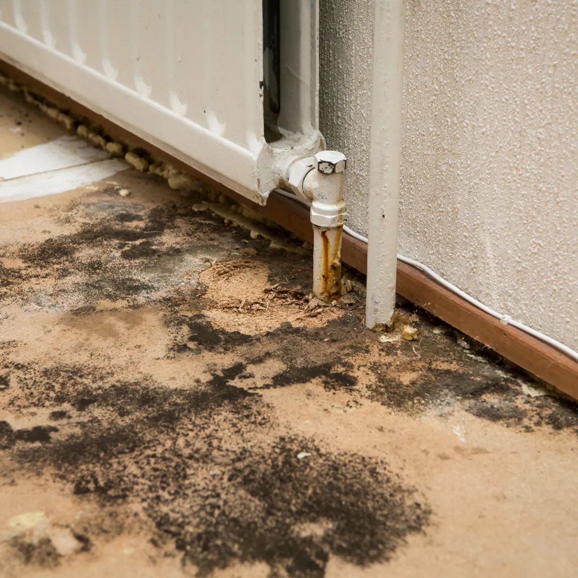 Sell House Near with mold Greensboro