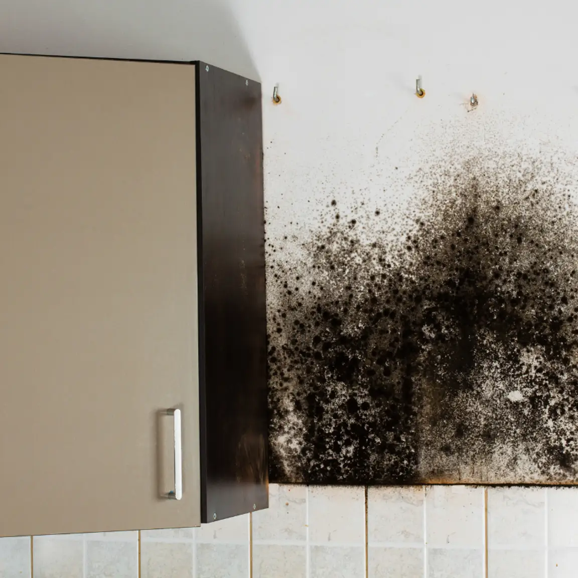 Sell House Quick with mold Greensboro