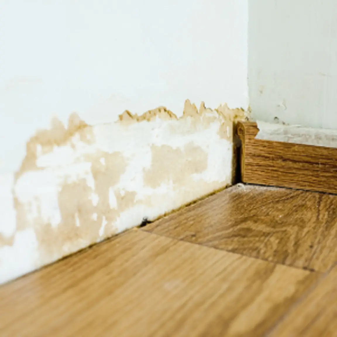 Sell My Home With Flood Damage [market_city]