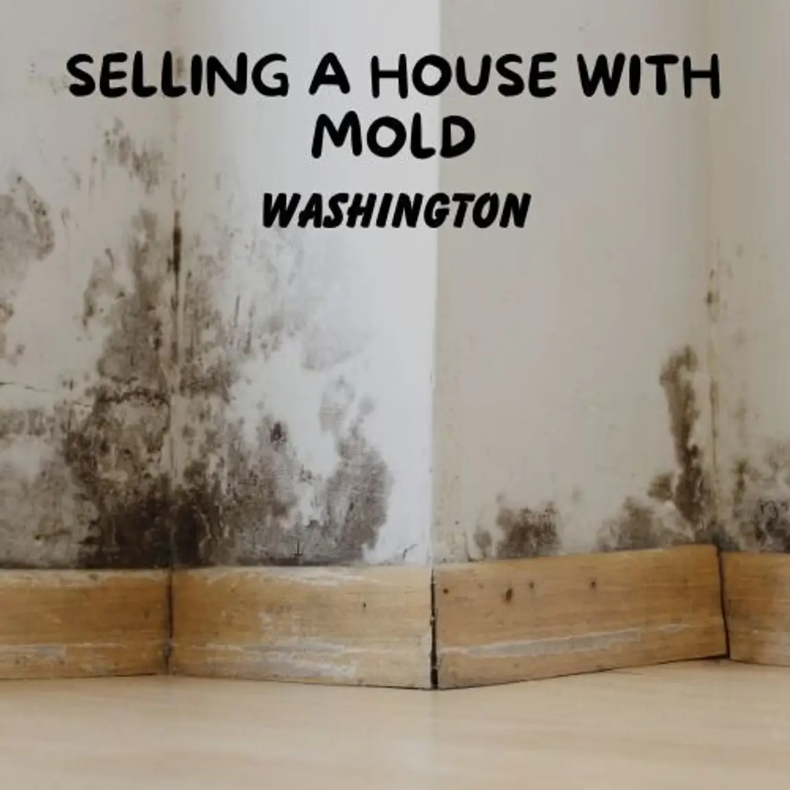 Selling a house with mold in washington