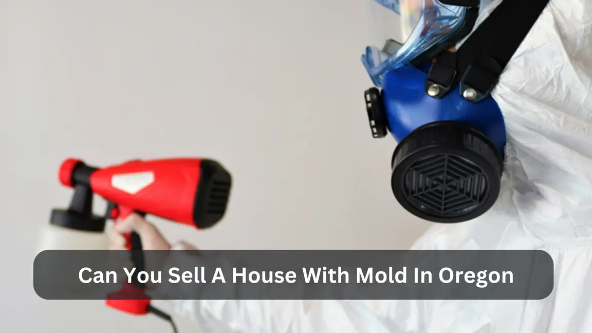 Can You Sell A House With Mold In Oregon