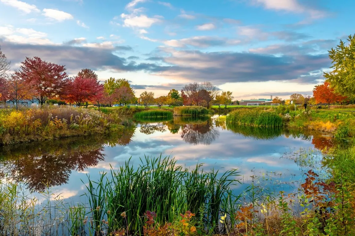 We Buy Houses As-Is In lake in the hills Illinois