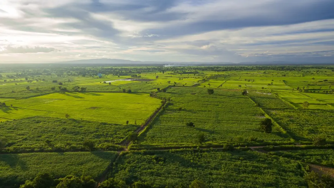 How To Sell Your Land In Alabama We Buy Land Cash!