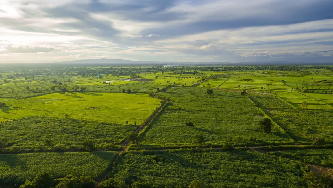 How To Sell Your Land In Alabama We Buy Land Cash!