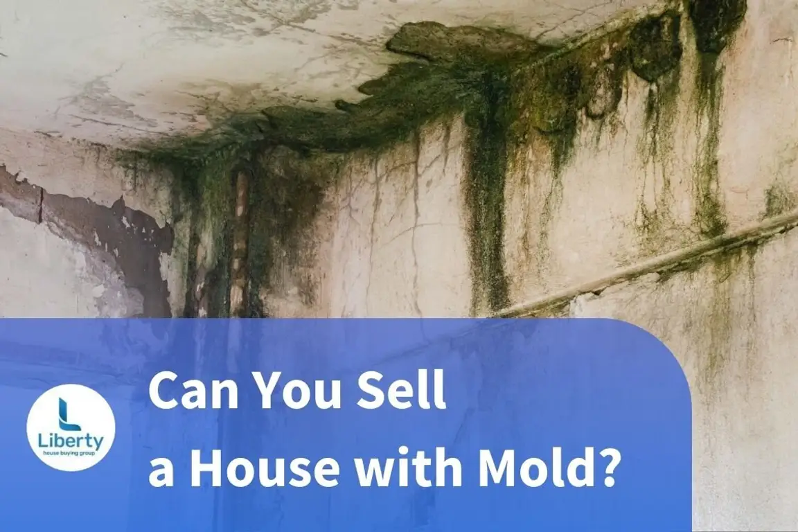 Ceiling with heavy mold