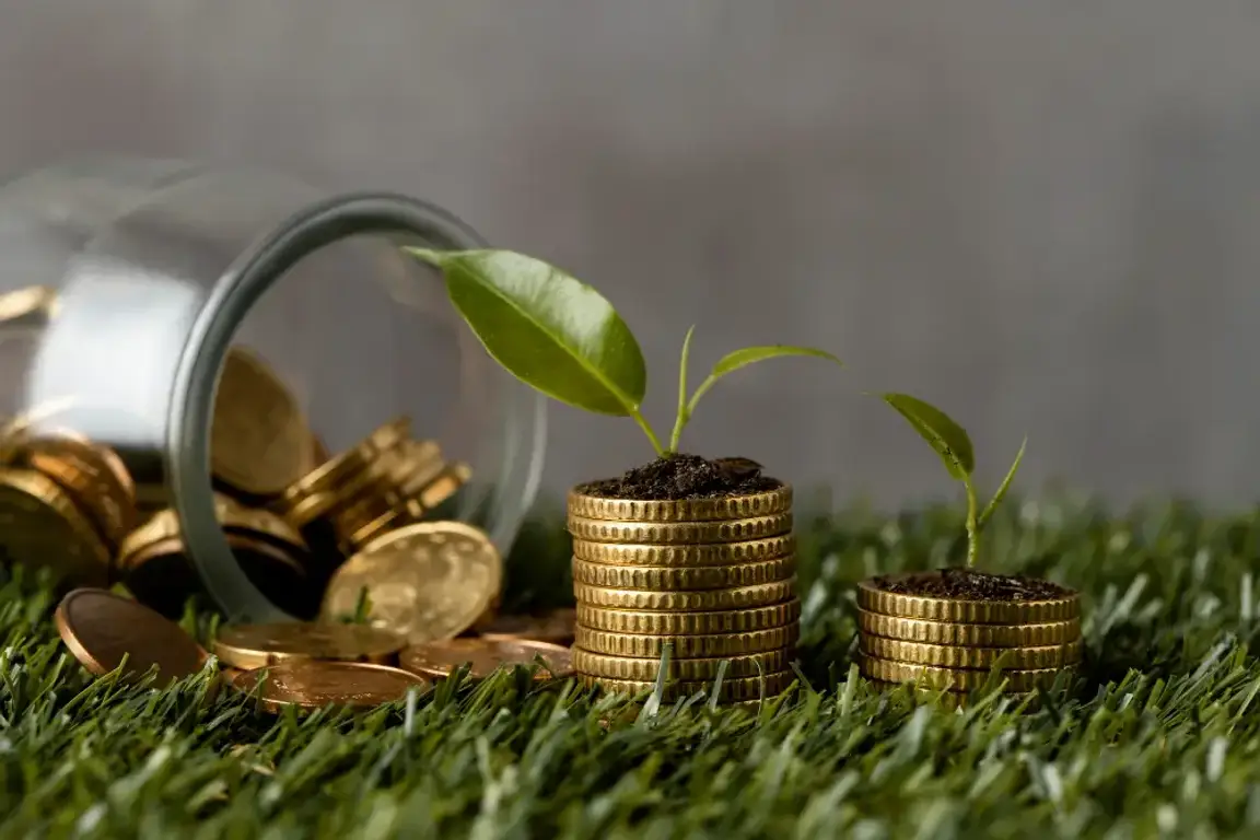 Coins with a plant growing on top of it.