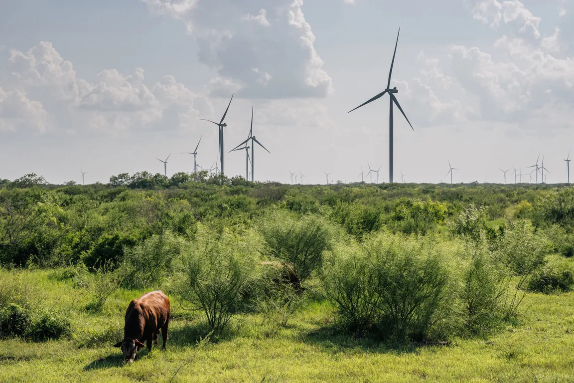 Cash for Texas Land