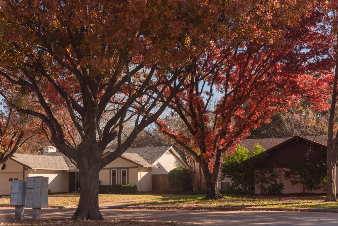 Sell Your House