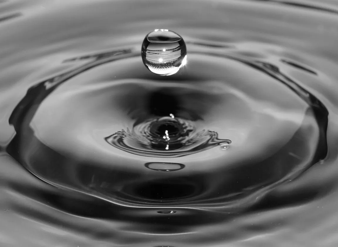 Sell My Water Damaged House In Texas