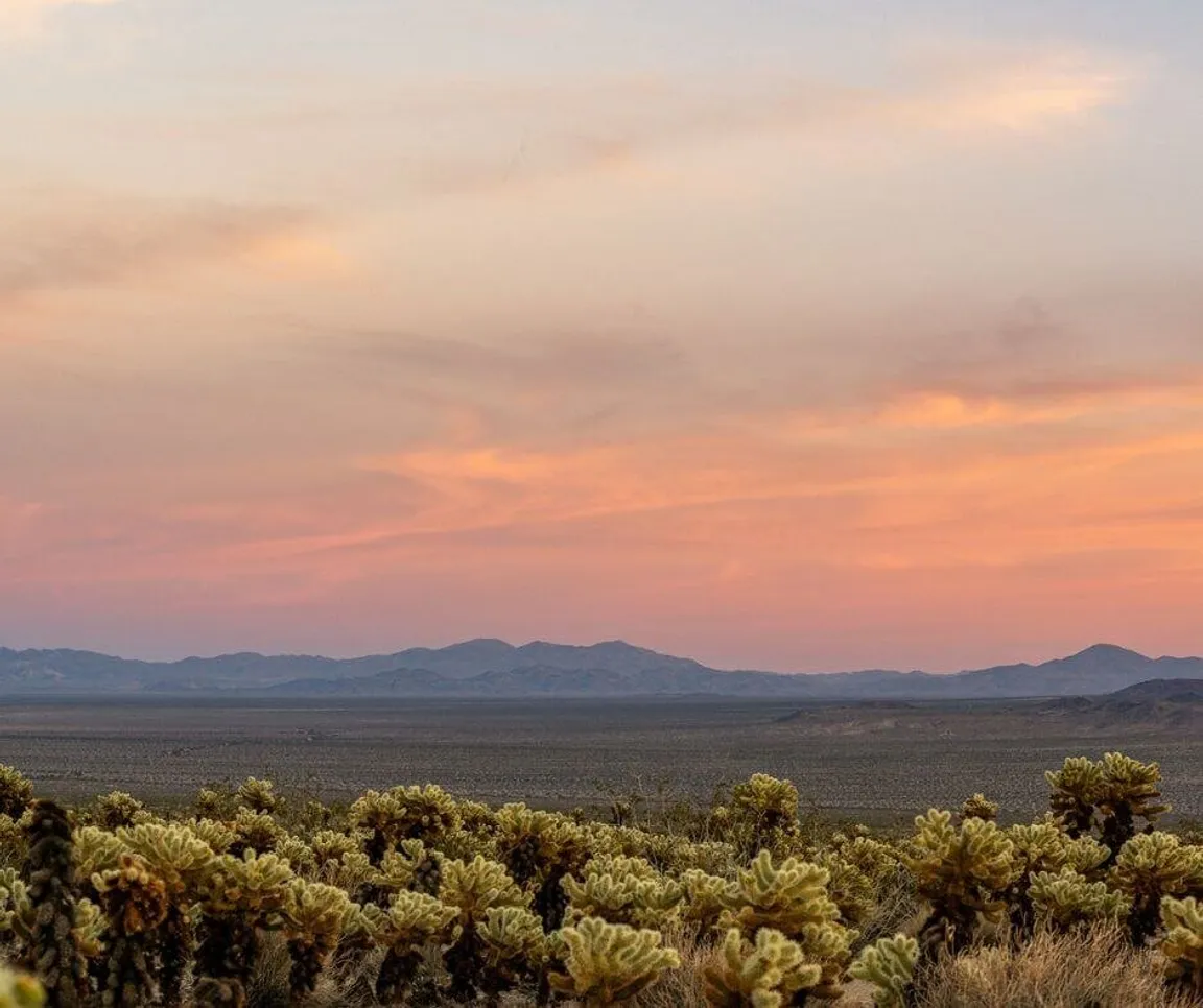 we buy land CA
