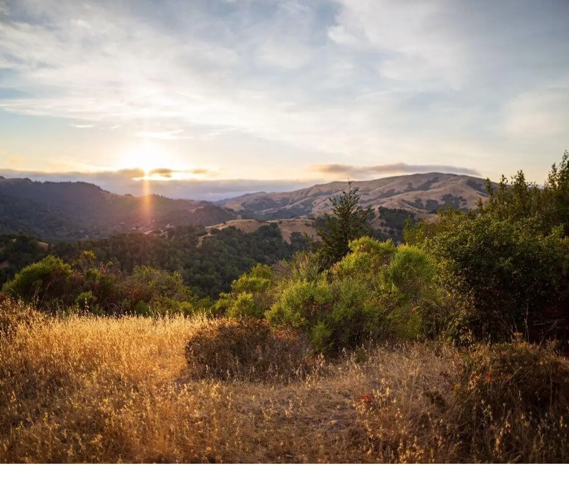 How Much Is My Land In California Worth