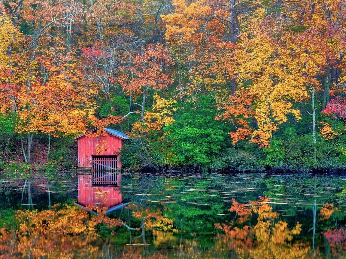 Sell My Land Alabama