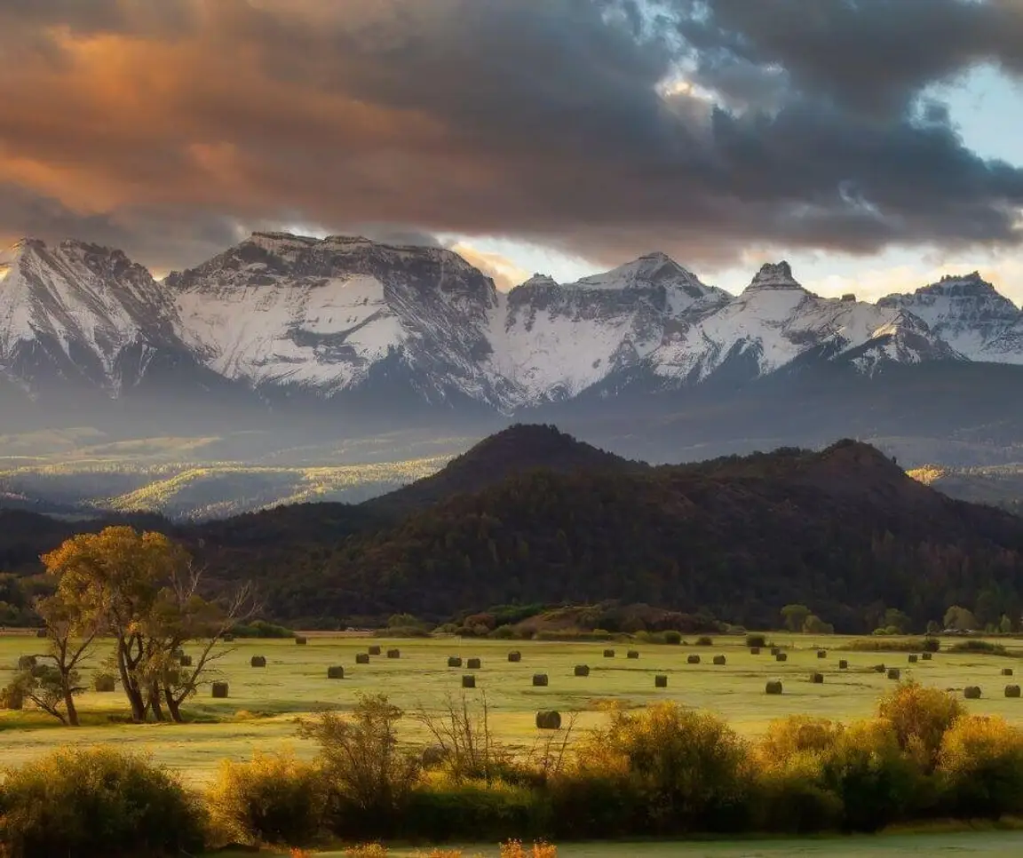 sell land with liens or back taxes in Colorado