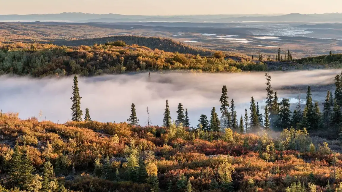 sell land with liens or back taxes in AK