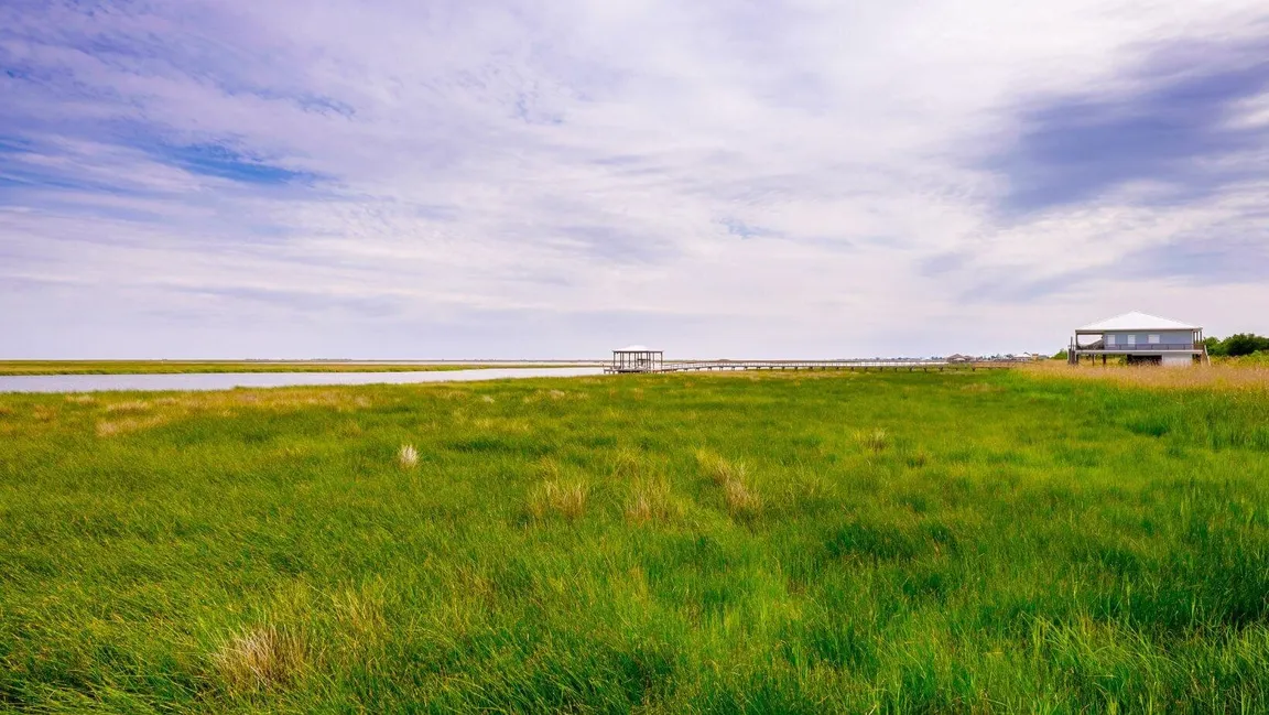 sell land with liens or back taxes in Louisiana