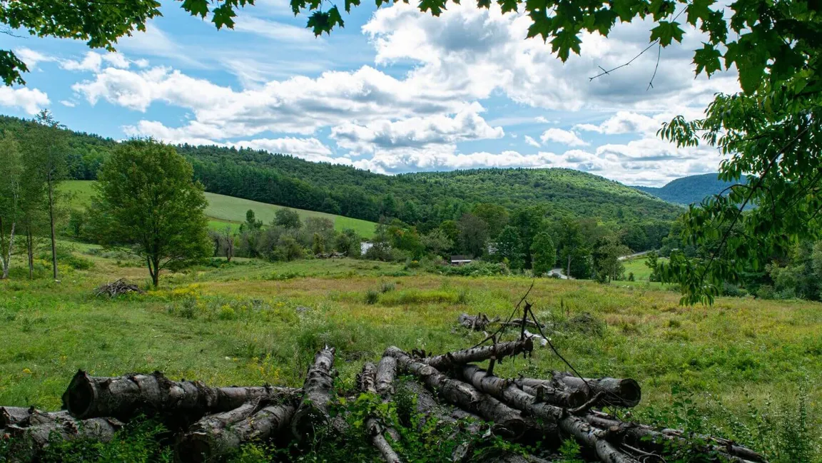 sell land with liens or back taxes in Massachusetts
