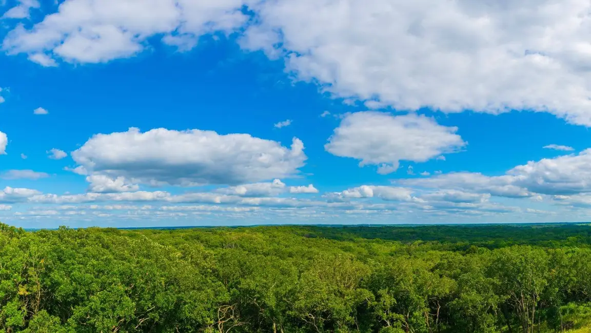sell land with liens or back taxes in MN