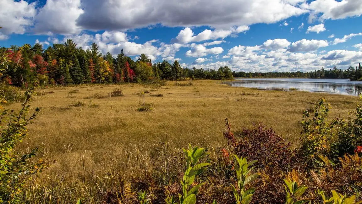 sell land with liens or back taxes in MI