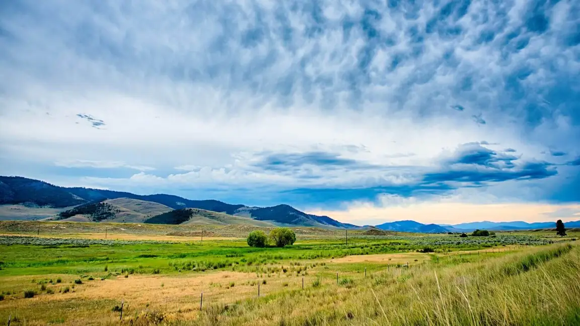 sell land with liens or back taxes in Montana