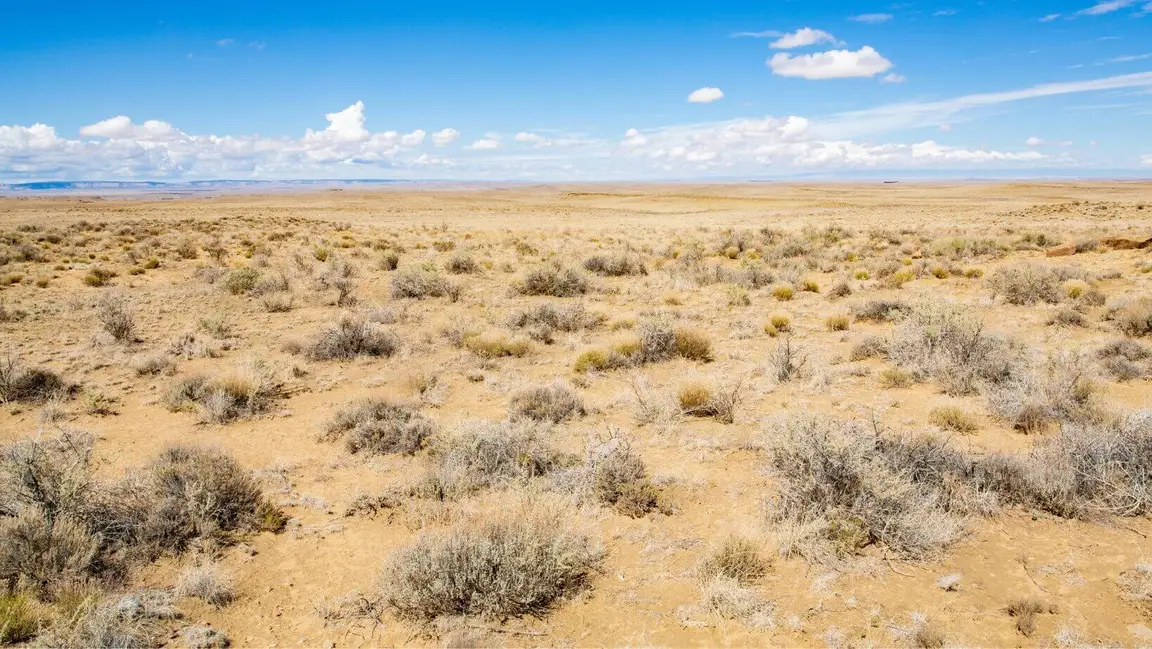 How Much Is My Land In New Mexico Worth