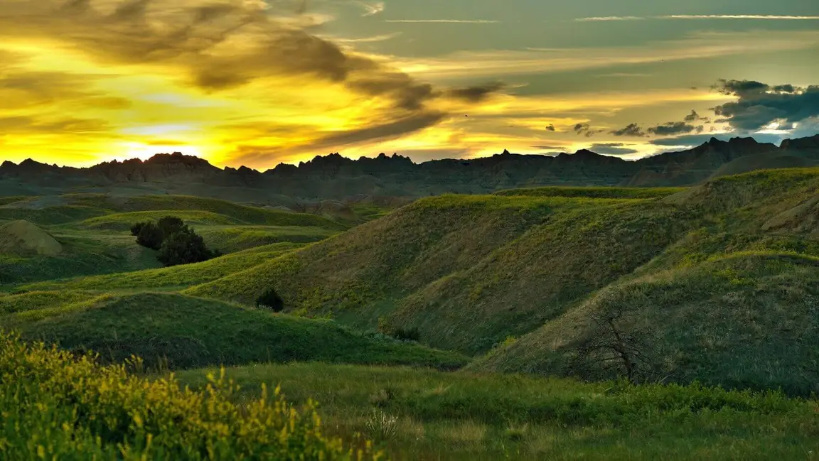 sell land with liens or back taxes in SD