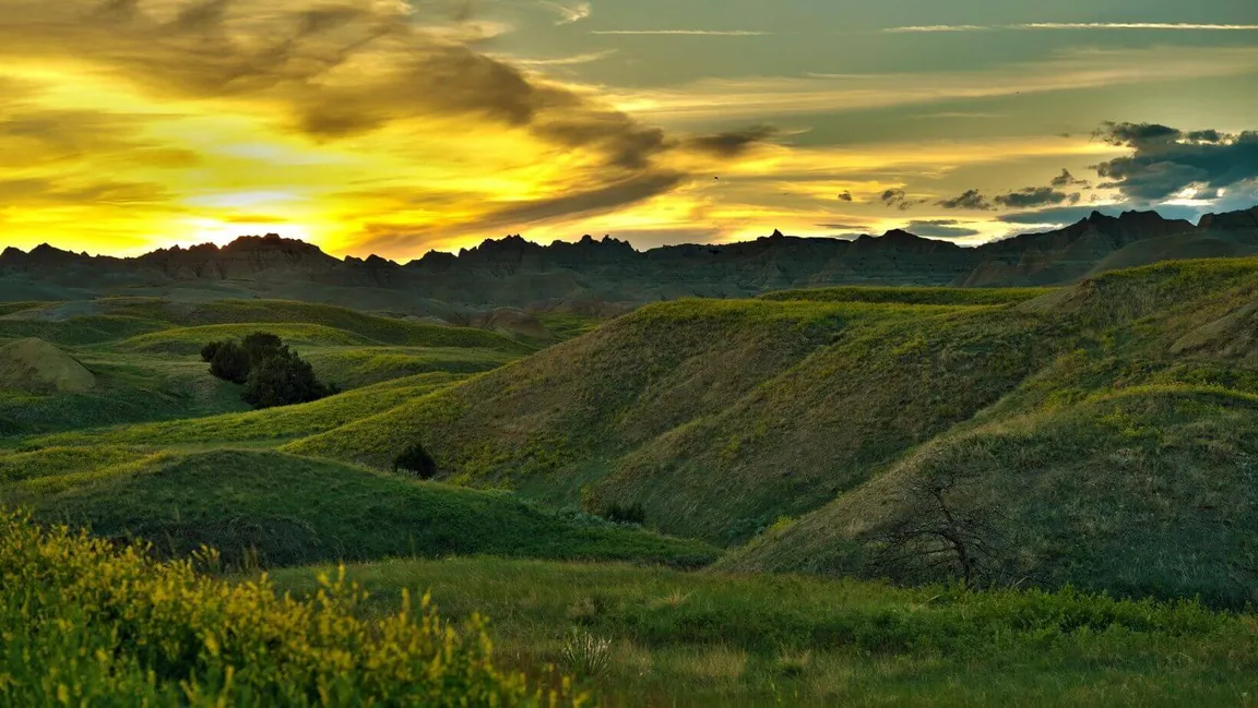 sell land with liens or back taxes in SD