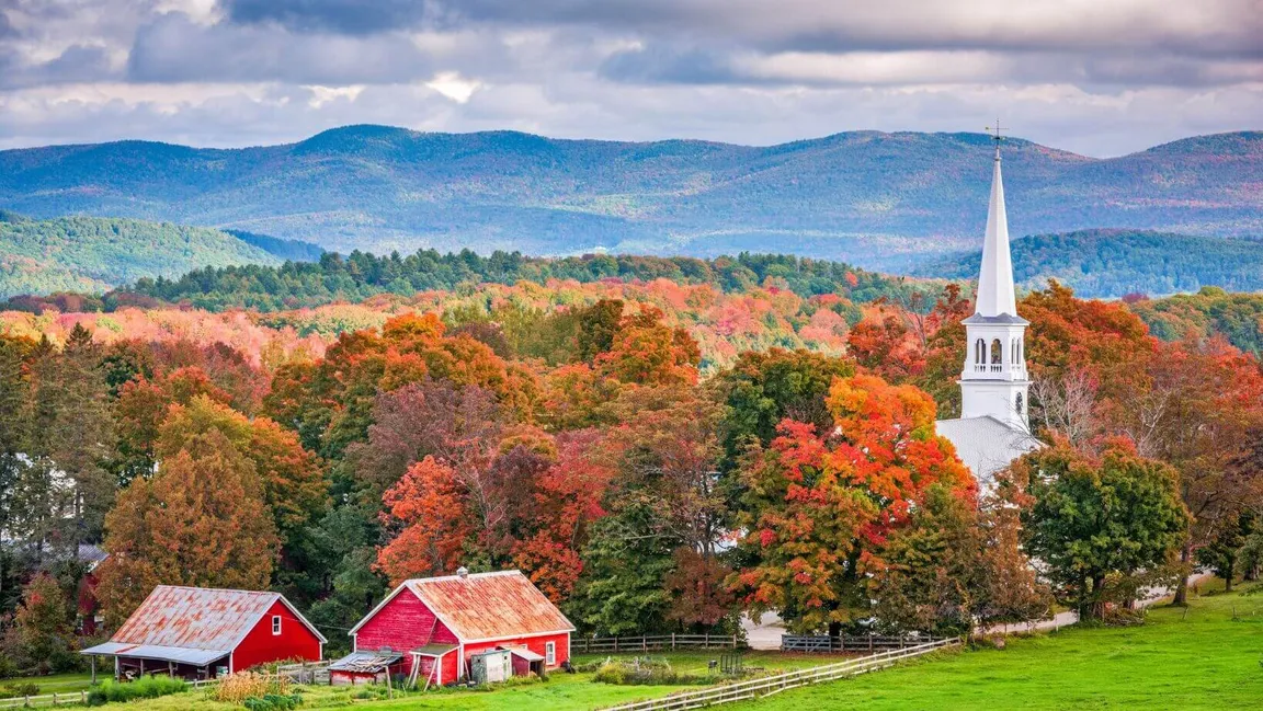 sell land with liens or back taxes in Vermont