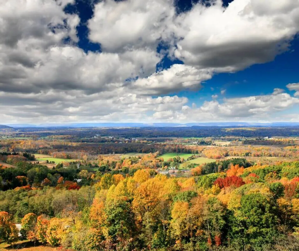 sell land with liens or back taxes in Delaware